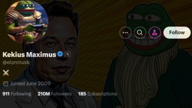 is-elon-musk’s-“kekius-maximus”-the-ultimate-pepe-tribute?